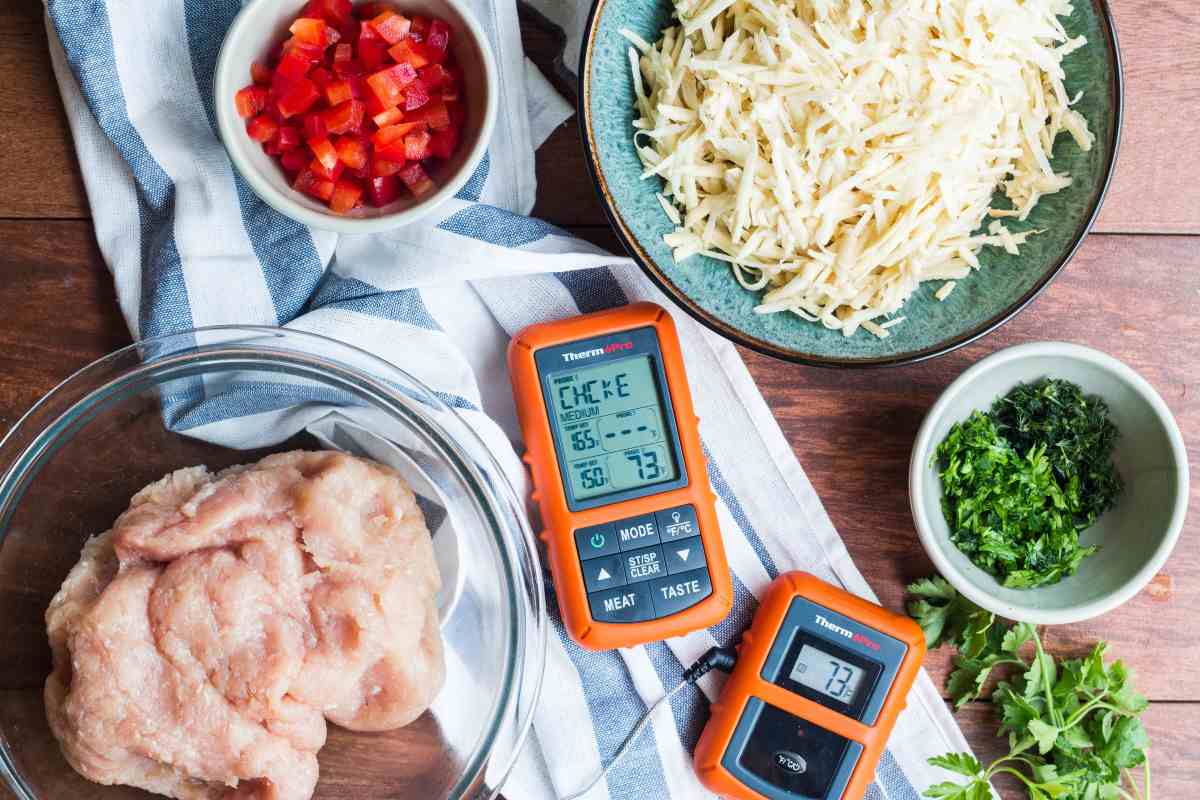 Best Wifi Meat Thermometer