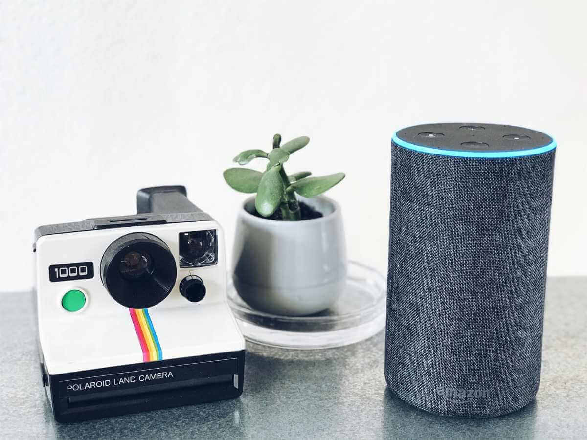 How Do I Reset Wifi on Alexa?