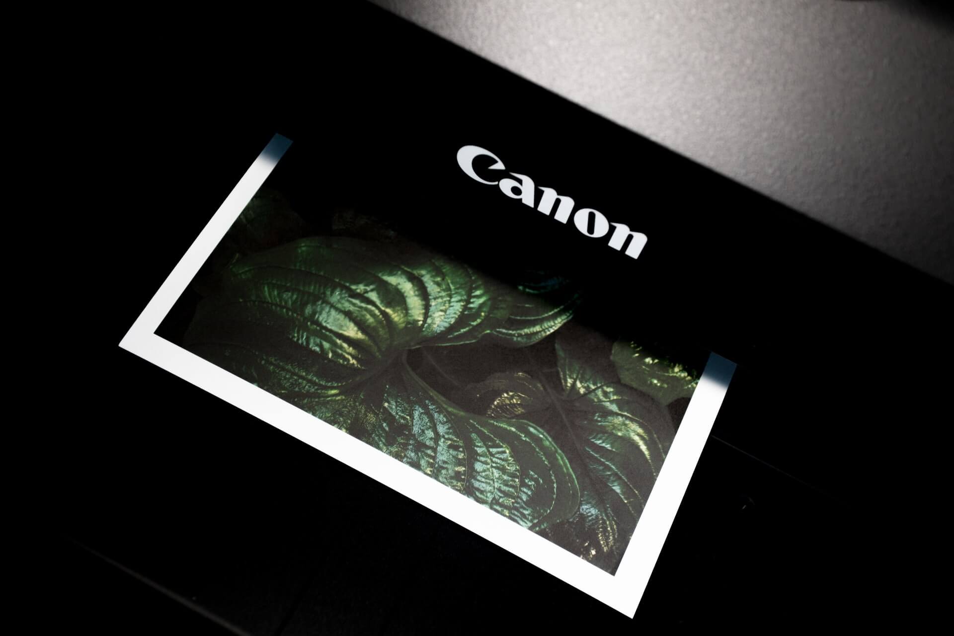 how to connect canon mg3620 printer to wifi