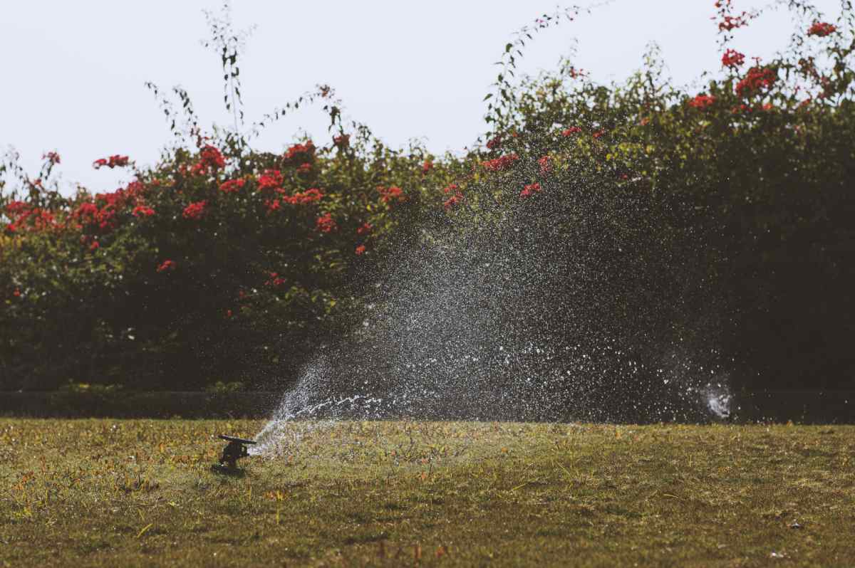 Best WiFi Irrigation Controller
