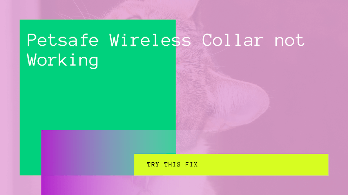 petsafe wireless collar not working
