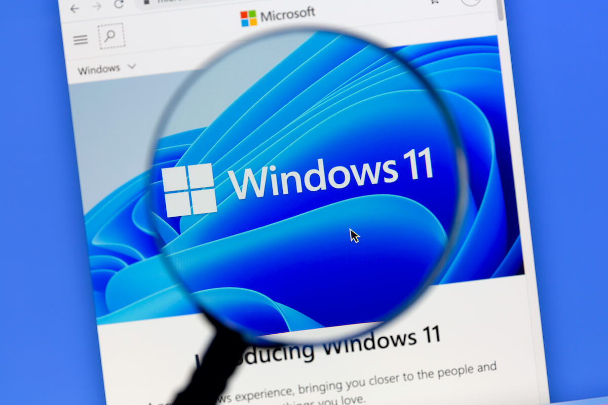 windows 11 wifi driver